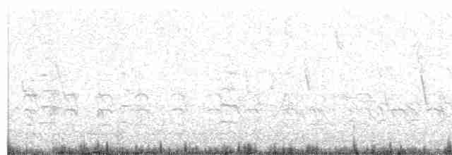 Grassland Sparrow - ML97061841