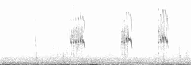 Long-billed Plover - ML97074461