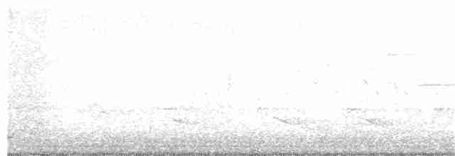 Paruline noir et blanc - ML97075321