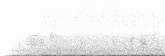 Weißbrustkleiber - ML97109891