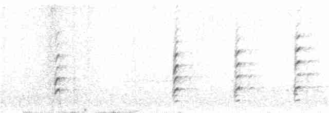 Black-necked Stilt (Black-necked) - ML97124381