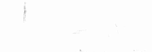 Голубокрылая червеедка - ML97172881