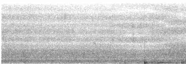 Long-billed Plover - ML97228191