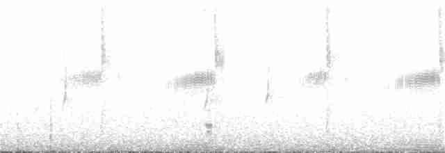 Kara Boğazlı Kolibri - ML97324071