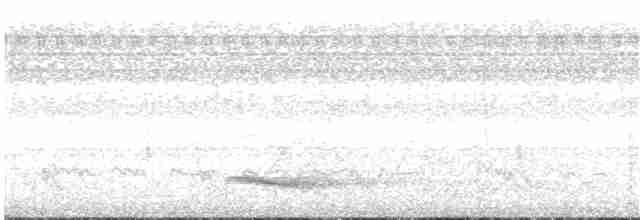 Channel-billed Toucan - ML97352751