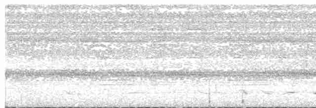 Great Tinamou - ML97353371
