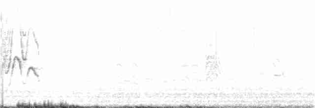 Серый нектаролюб - ML97360191