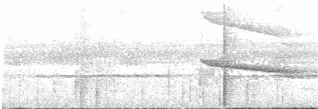 Белобровая агуйла - ML97362301