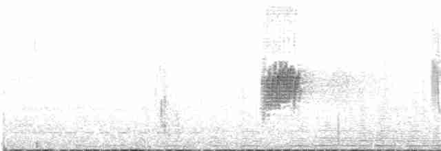 Güneyli Sert Kanatlı Kırlangıç - ML97363711
