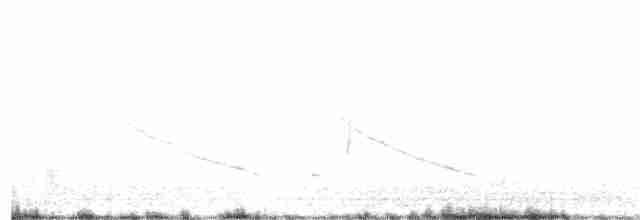 Oberholser Sinekkapanı - ML97446931
