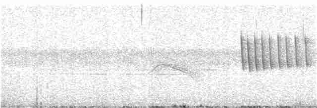 Weißbrauenschnäpper - ML97453071