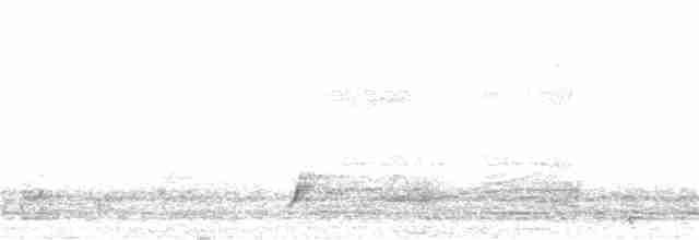 Perlita Cejiblanca - ML97478251