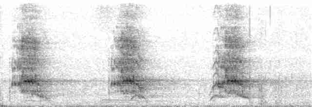 Kara Yanaklı Saksağan Kargası - ML97511041