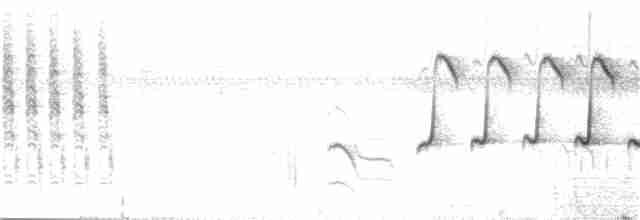 Zapata Çıtkuşu - ML97512601