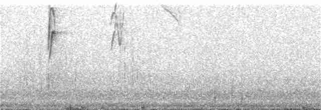 Lacrimose Mountain Tanager - ML97514401