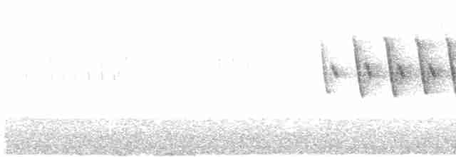 Червоїд сіроголовий - ML97554611