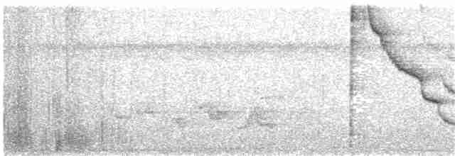 Морщинистоклювая ани - ML97597621