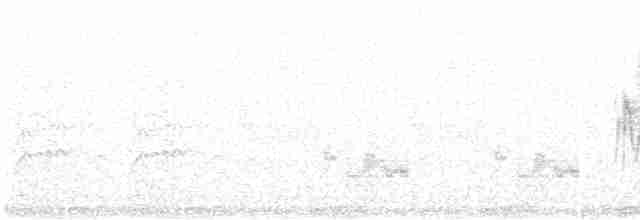 Сибирский черноголовый чекан [группа maurus] - ML97624511