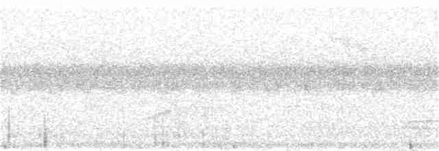 Grimpereau de l'Himalaya - ML97628071