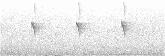 kolibřík subtropický - ML97672211