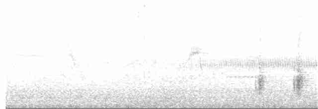 Great Reed Warbler - ML97688451
