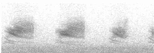 Kızıl Gözlü Vireo - ML97823611