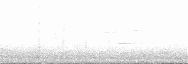 Paruline noir et blanc - ML97900151
