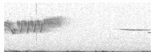 Cerulean Warbler - ML97925841