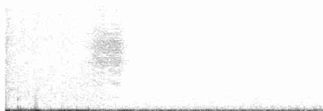 Pitcairn Reed Warbler - ML98220501
