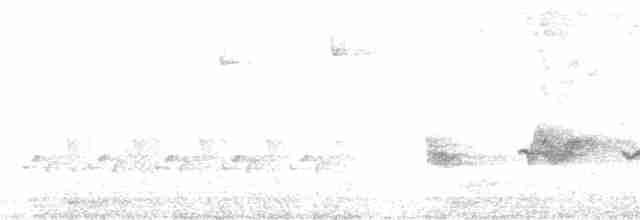Kara Kanatlı Piranga - ML98233351