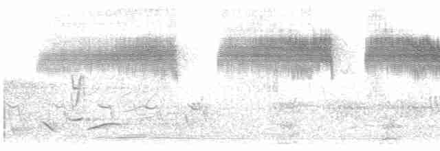 ML98805121 visualization