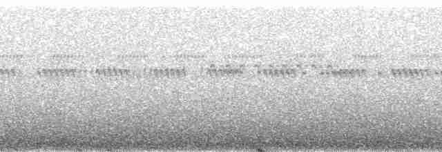 Kaya Sinekkapanı (ferruginea/sclateri) - ML98827