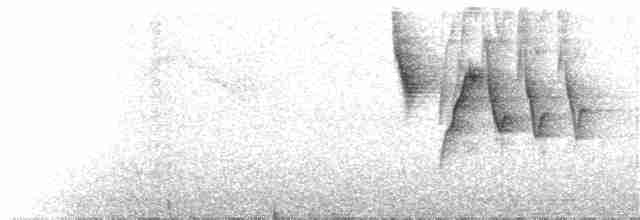 Fulvous-headed Brushfinch - ML98829541