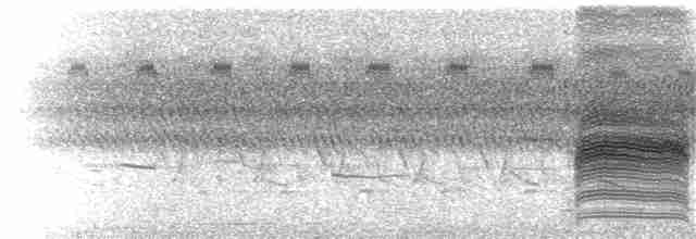 Loggerhead Shrike - ML98895861