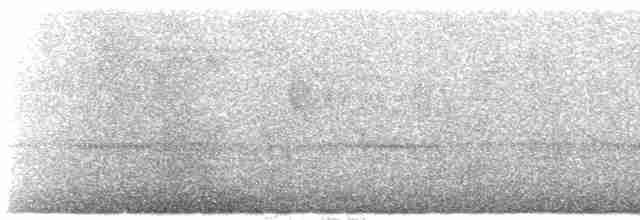 Gray-mantled Wren - ML98936211