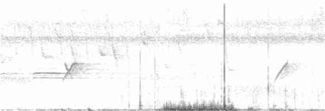 Little Tinamou - ML98991271