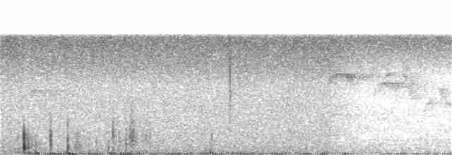 White-flanked Antwren - ML99016051
