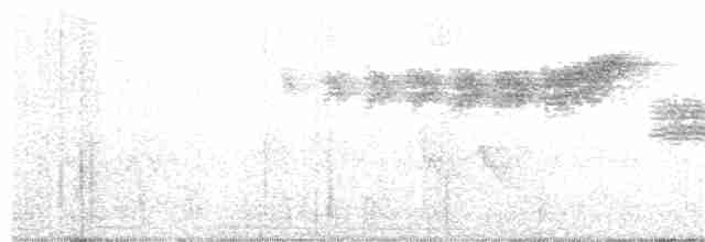 Vitelline Warbler - ML99165691