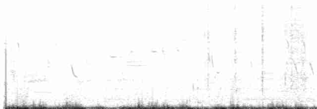 Büyük Kuyruklu Kiskal - ML99221801