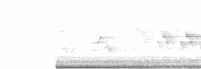 Kentucky Warbler - ML99261411