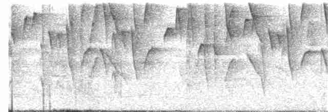Conirostre marguerite - ML99283301