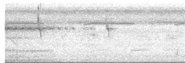 Светлоголовый тиранн - ML99285661
