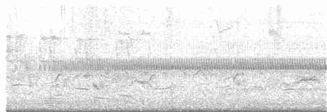 Соловьиный сверчок - ML99382601