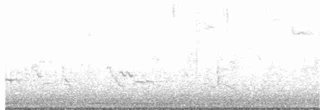 lesňáček černohlavý - ML99394871