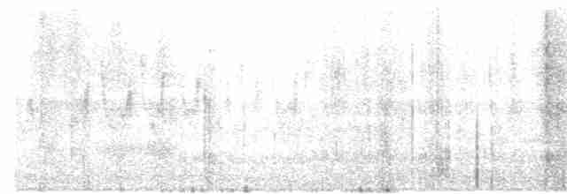 Palmenwaldsänger (hypochrysea) - ML99428111
