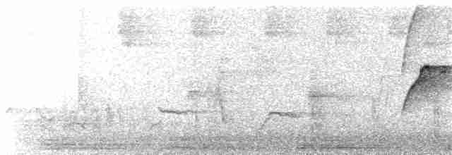Turuncu Gagalı Bülbül Ardıcı - ML99483011