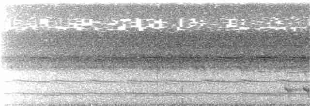Turuncu Göğüslü Trogon - ML99591111