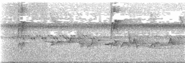 Дятел-коротун смугастокрилий - ML99612201