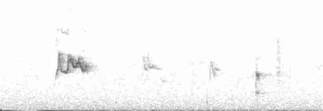 Graumantel-Brillenvogel - ML99651821