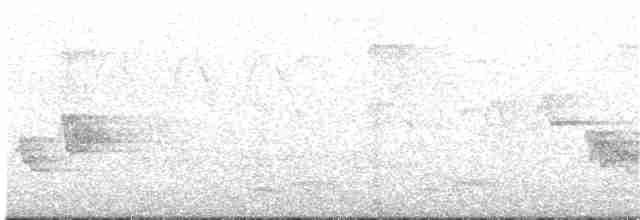 Cerulean Warbler - ML99705041